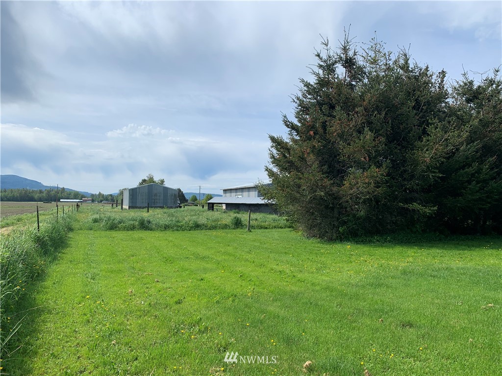7332 Nooksack Road Everson, WA 98247 - Photo 29 of 33 a view of a green yard
