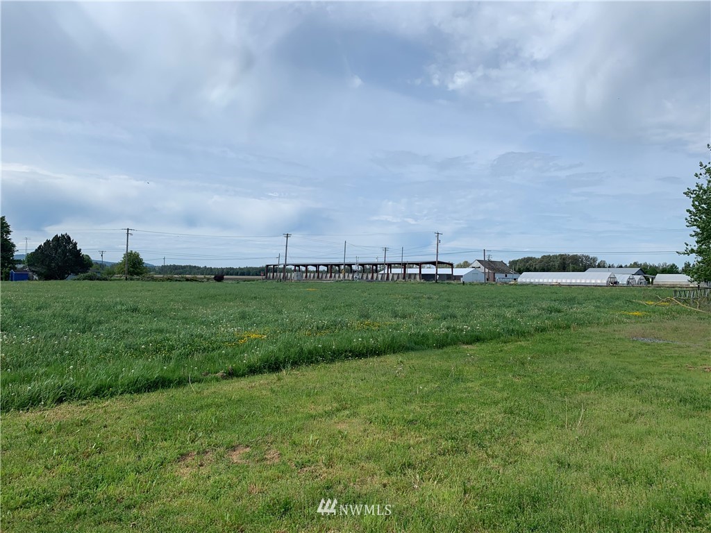 7332 Nooksack Road Everson, WA 98247 - Photo 31 of 33 a view of a green field with clear sky