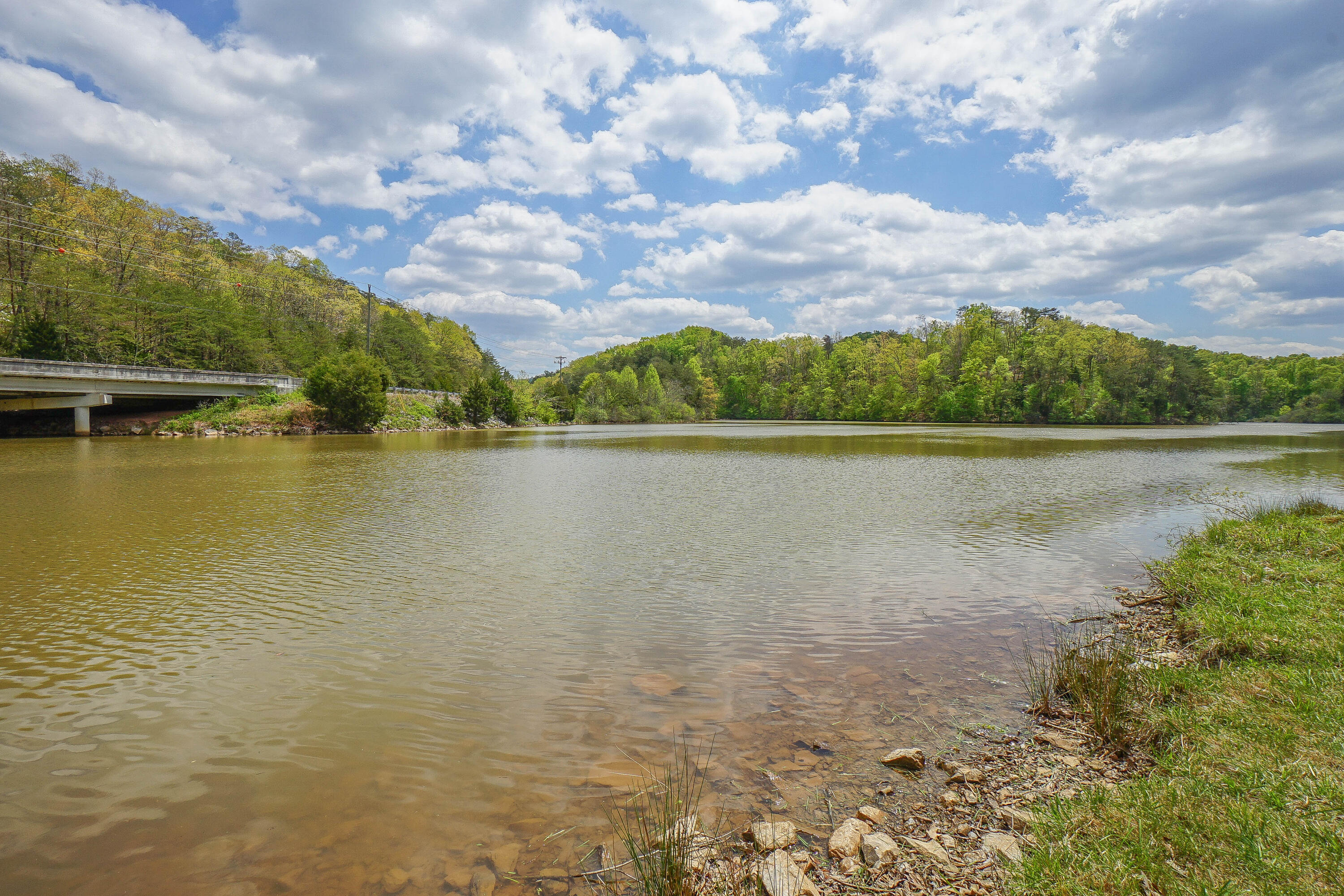 4103 Timber Wood Road Maryville, TN 37801 - Photo 3 of 40 DSC05077