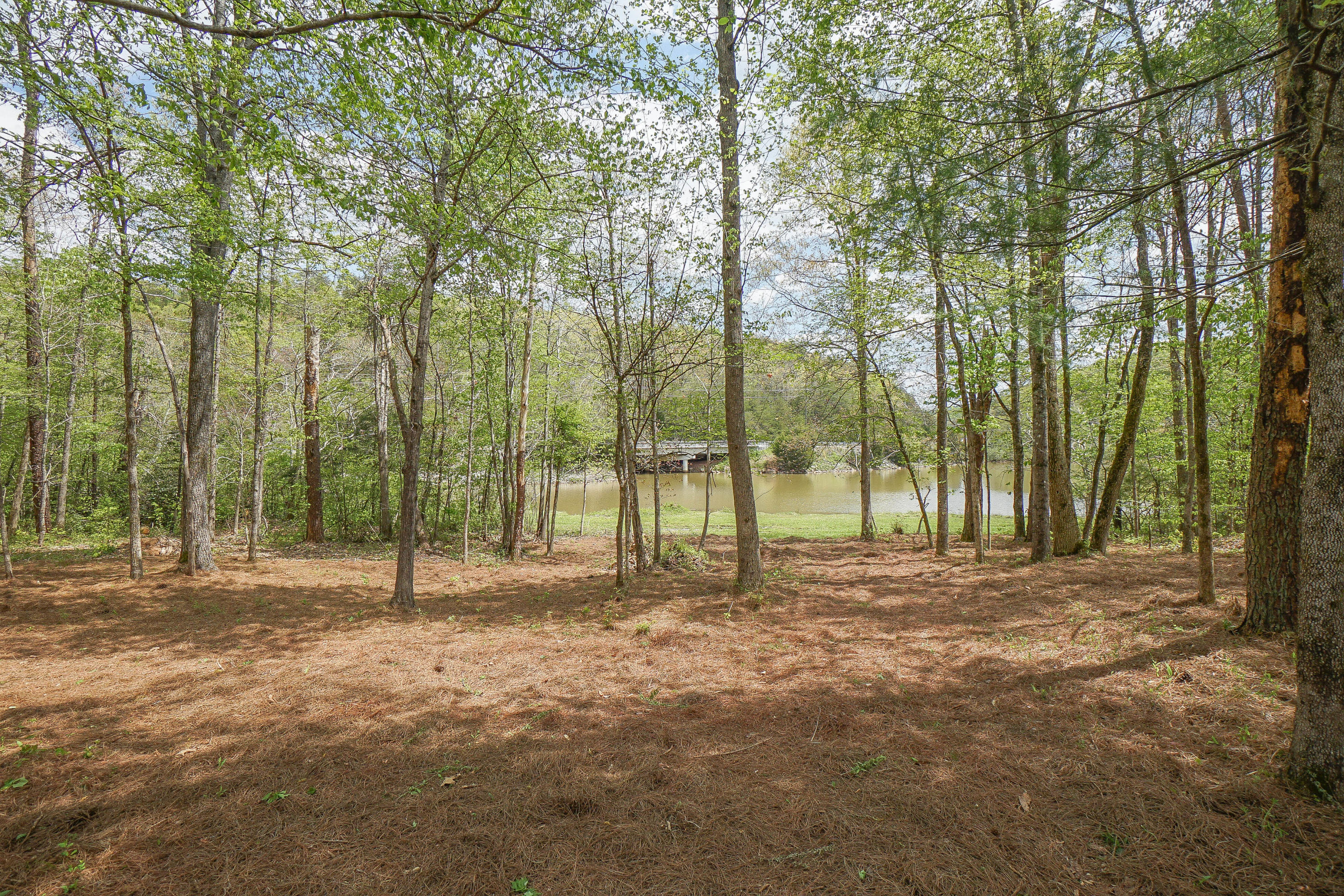 4103 Timber Wood Road Maryville, TN 37801 - Photo 8 of 40 DSC05073
