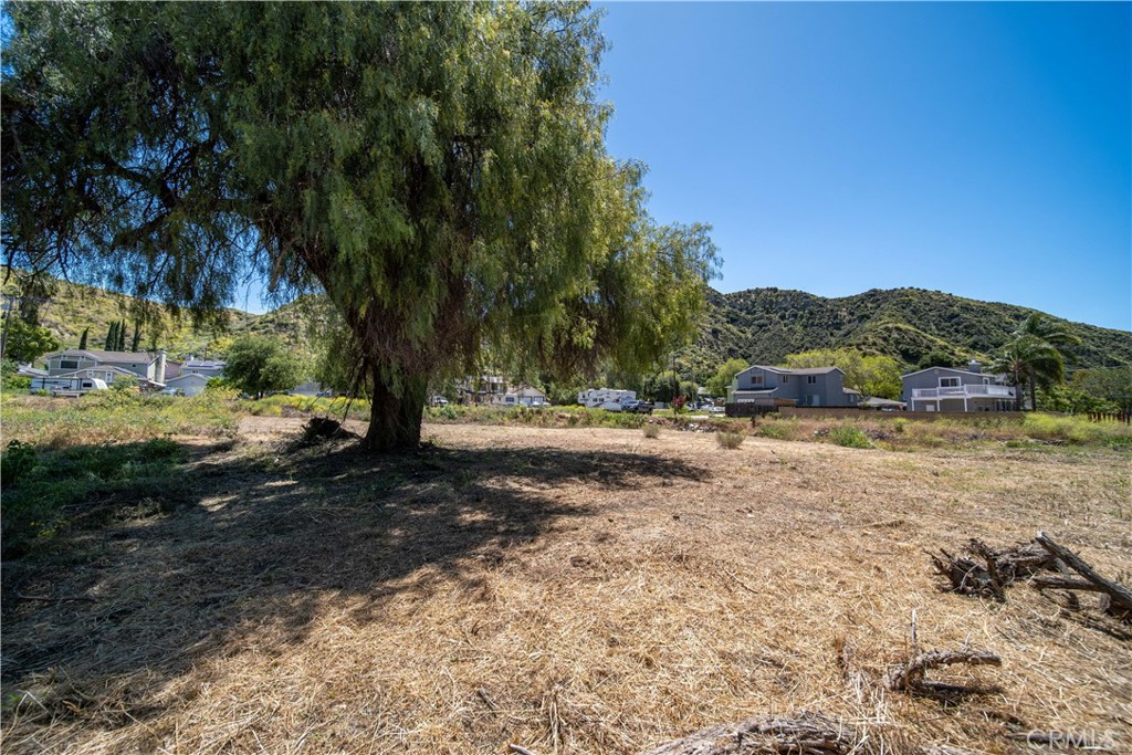 0 Taft Val Verde, CA 91384 - Photo 15 of 19 a view of dirt yard with a large tree