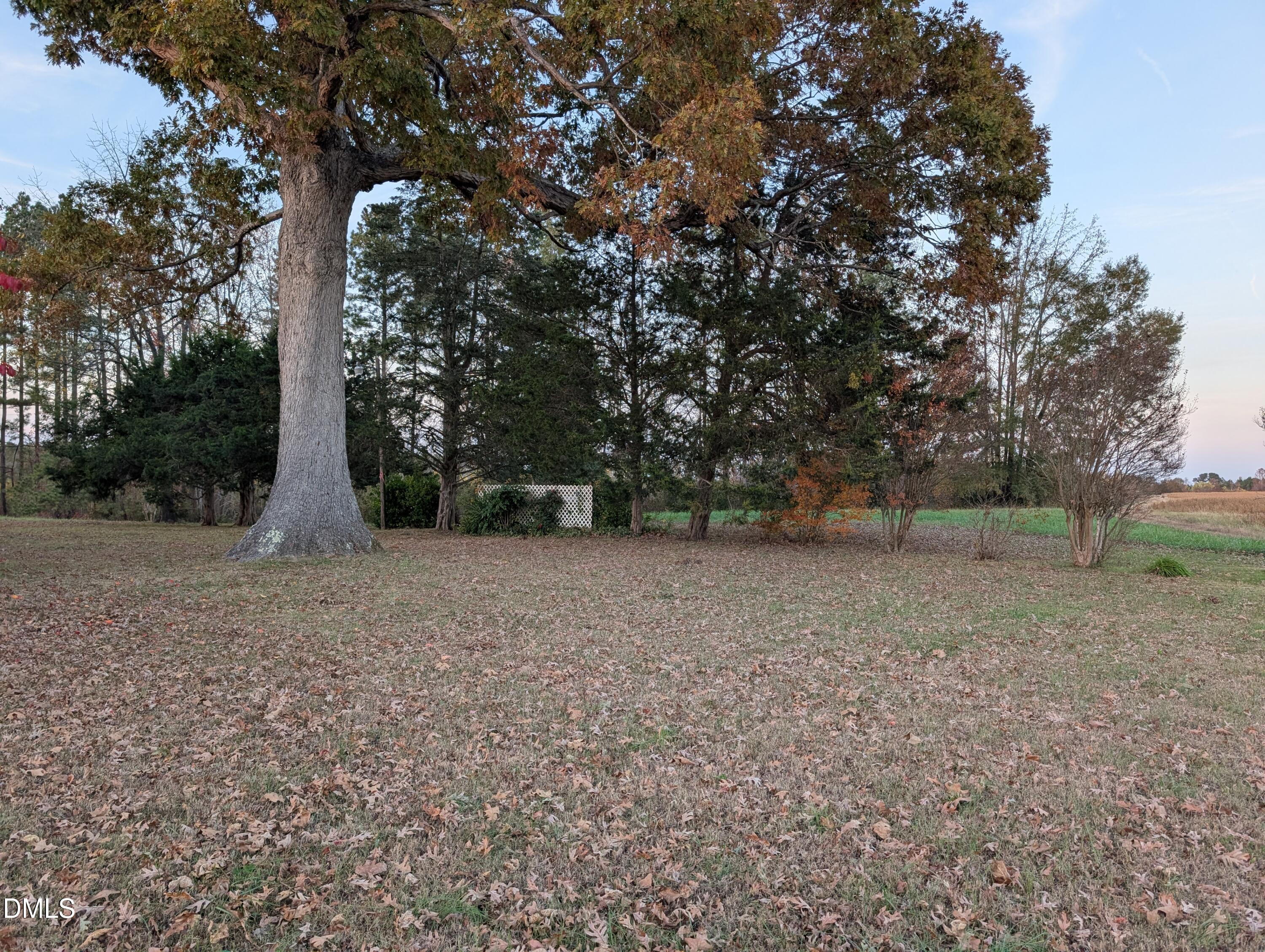 1241 Macon-Embro Road Macon, NC 27551 - Photo 10 of 11 a view of outdoor space and covered with trees