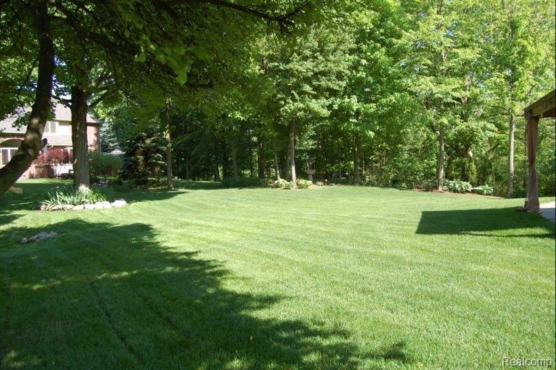 16722 Ryan Road Livonia, MI 48154 - Photo 25 of 25 Yard