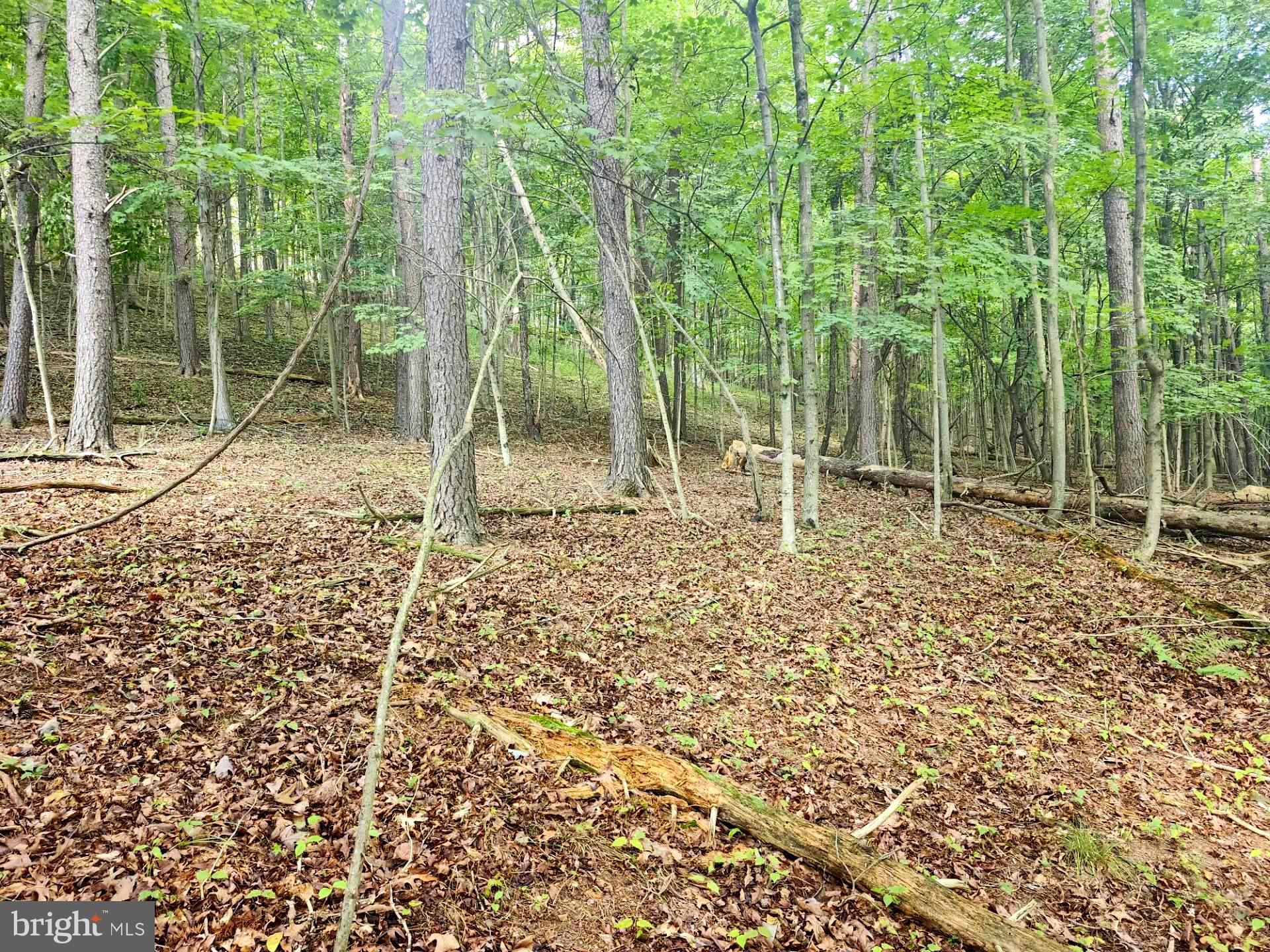 497 Dry Run Road Burlington, WV 26710 - Photo 50 of 80 Gallery Image 50