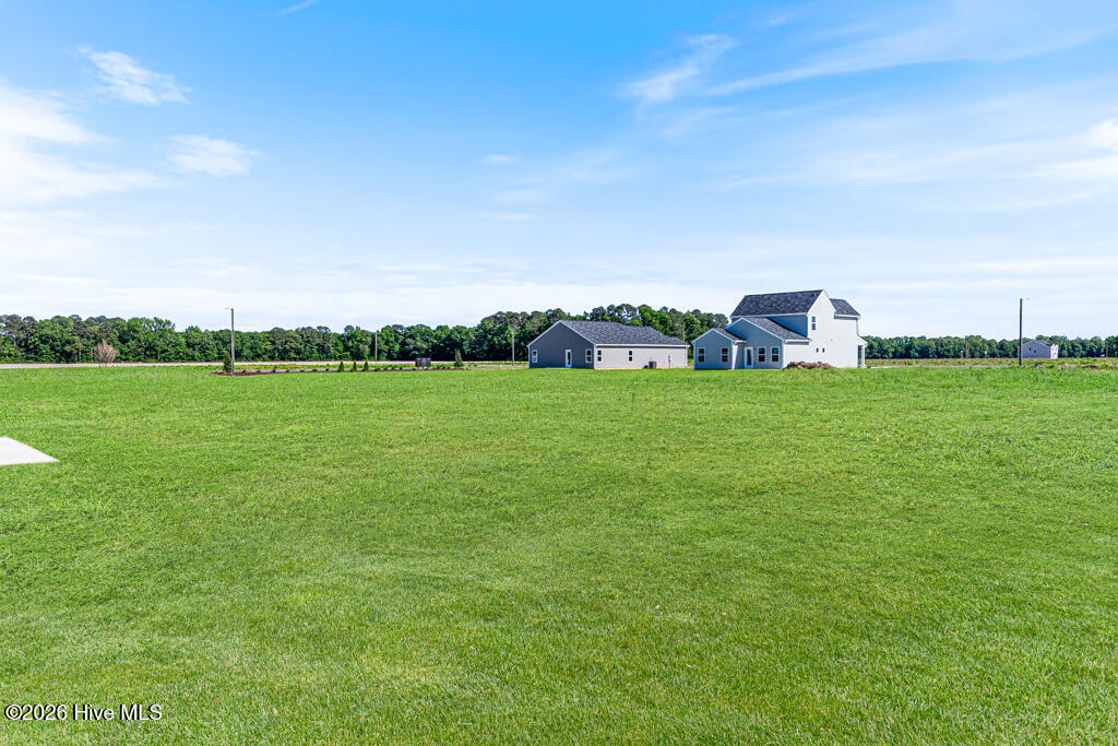 2201 Nahunta Road Pikeville, NC 27863 - Photo 28 of 35 Lot 4 - 2201 Nahunta Rd-LR-JFP-35
