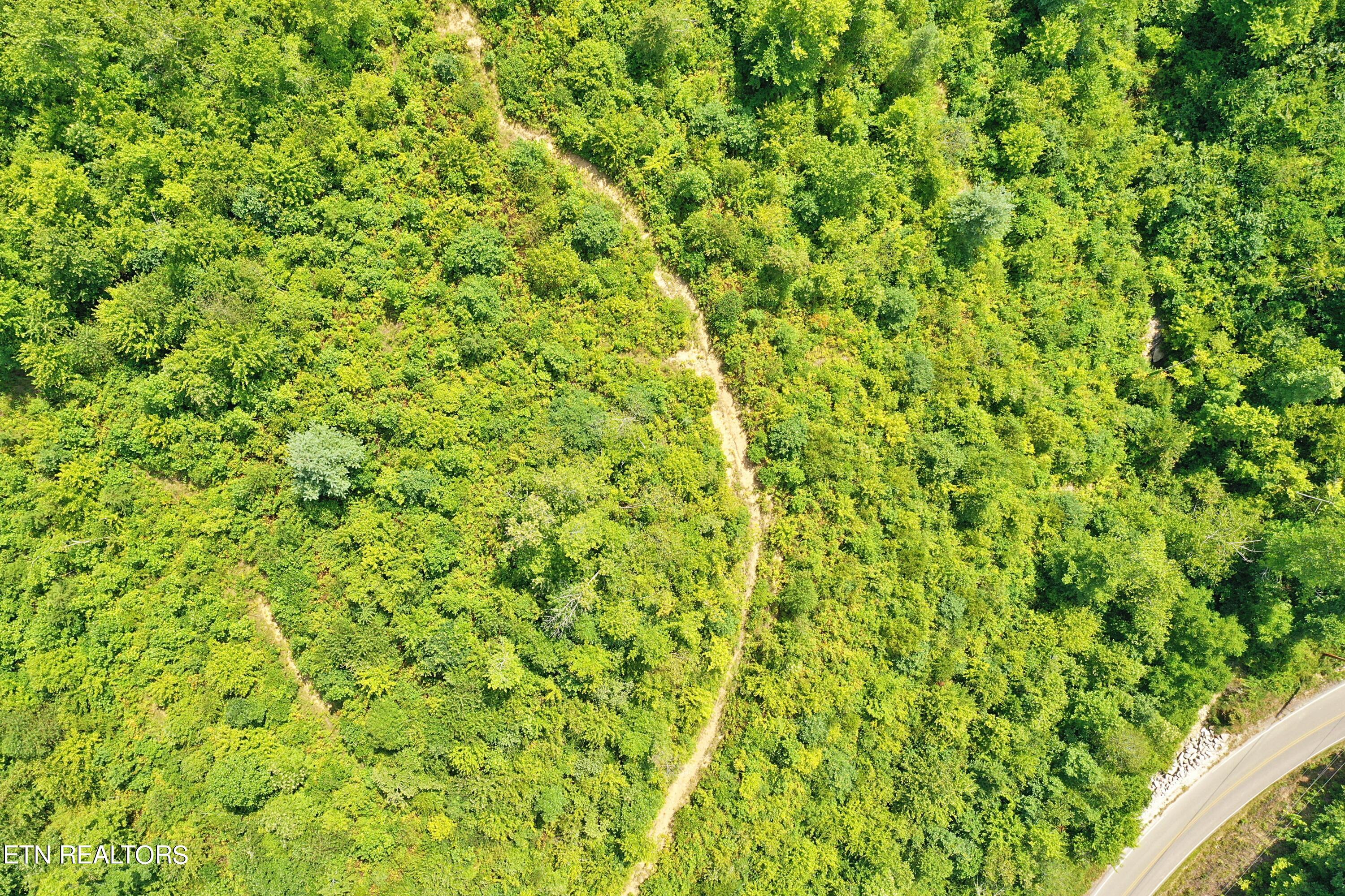 Mt View Road Robbins, TN 37852 - Photo 11 of 11 DJI_0611