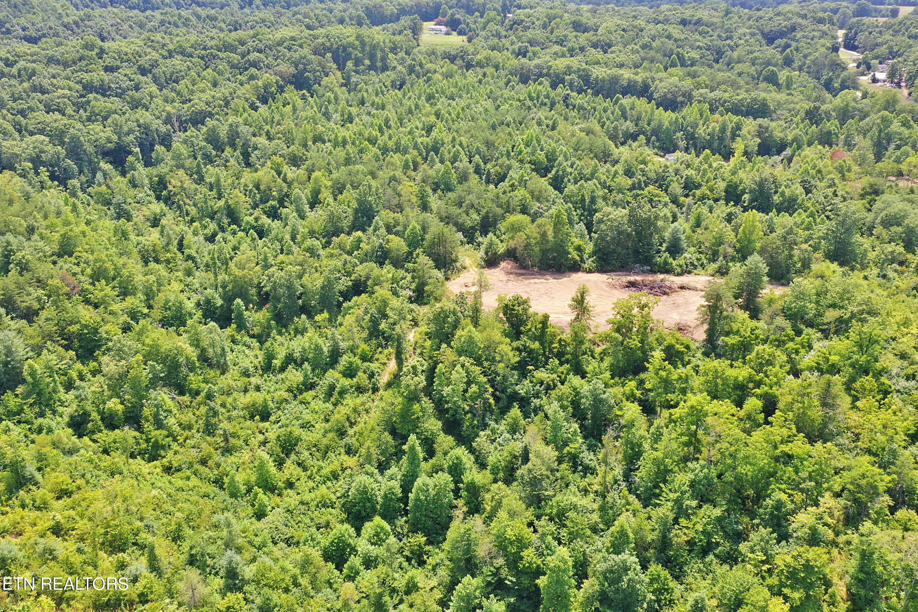 Mt View Road Robbins, TN 37852 - Photo 4 of 11 DJI_0612