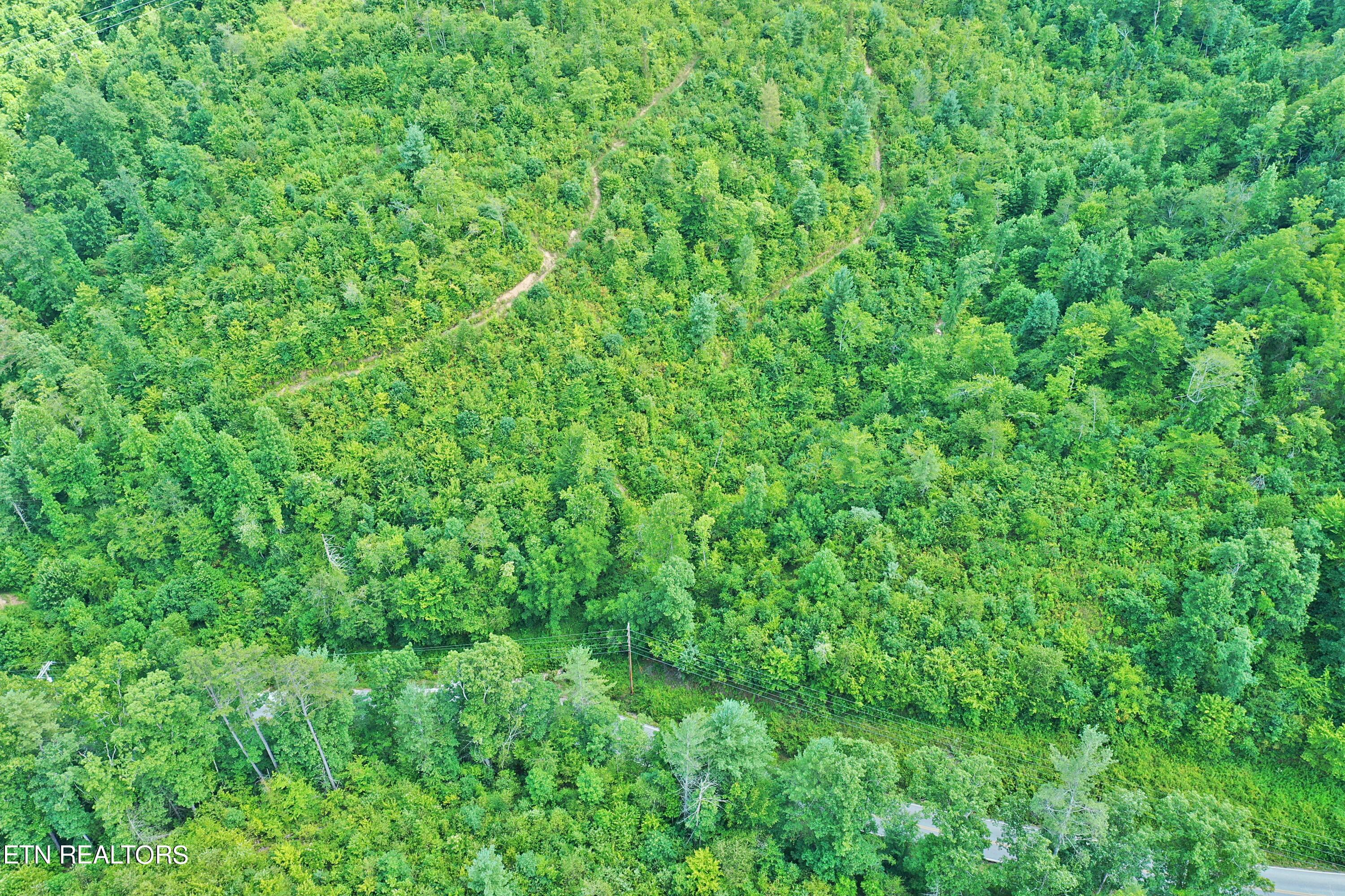 Mt View Road Robbins, TN 37852 - Photo 8 of 11 DJI_0617
