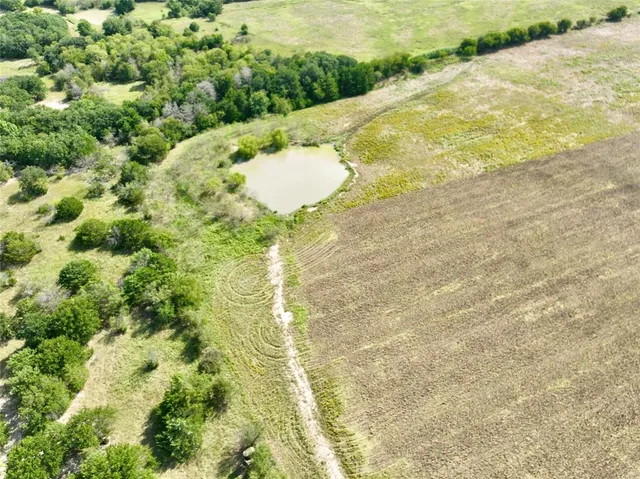 a view of a garden with a lake