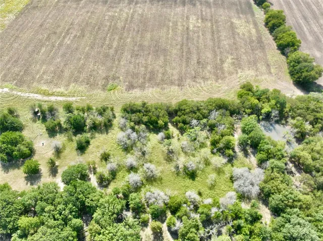a view of a yard with a dry yard