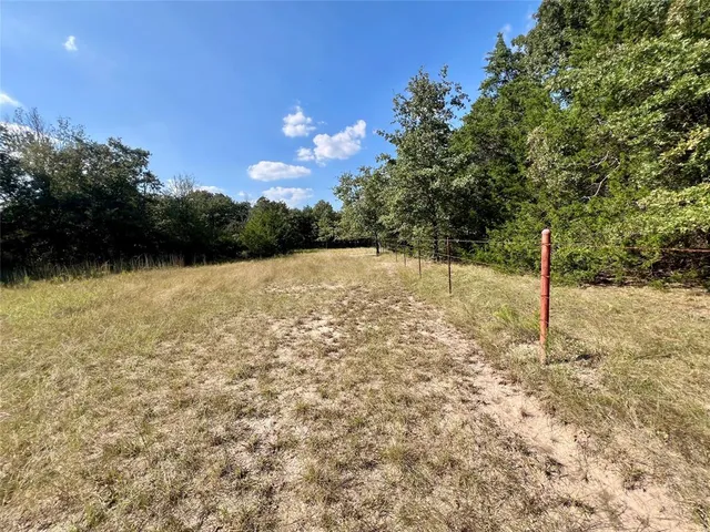 a view of a yard with a tree