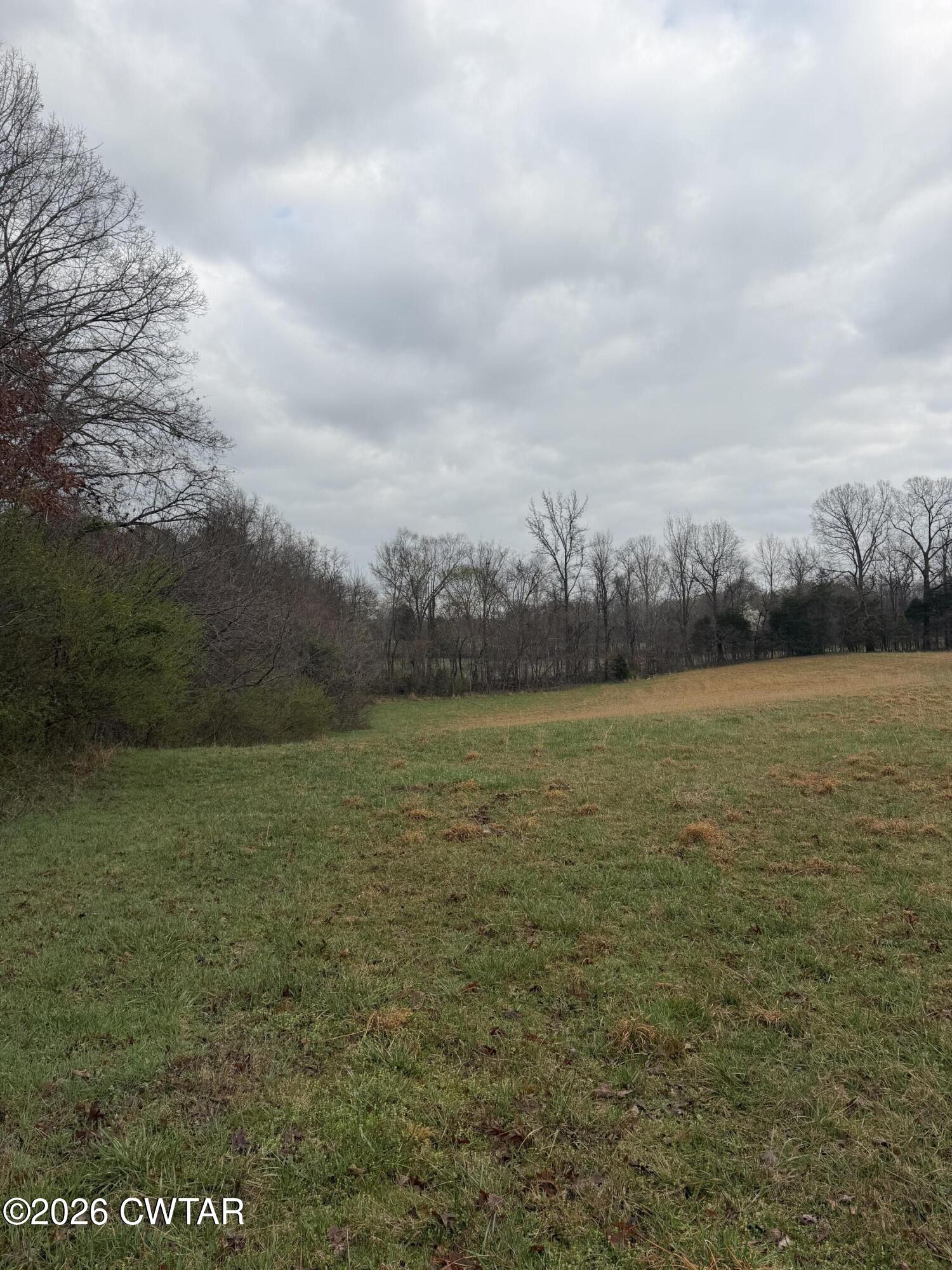 223 Bogle Loop Milan, TN 38358 - Photo 12 of 18 IMG_0585