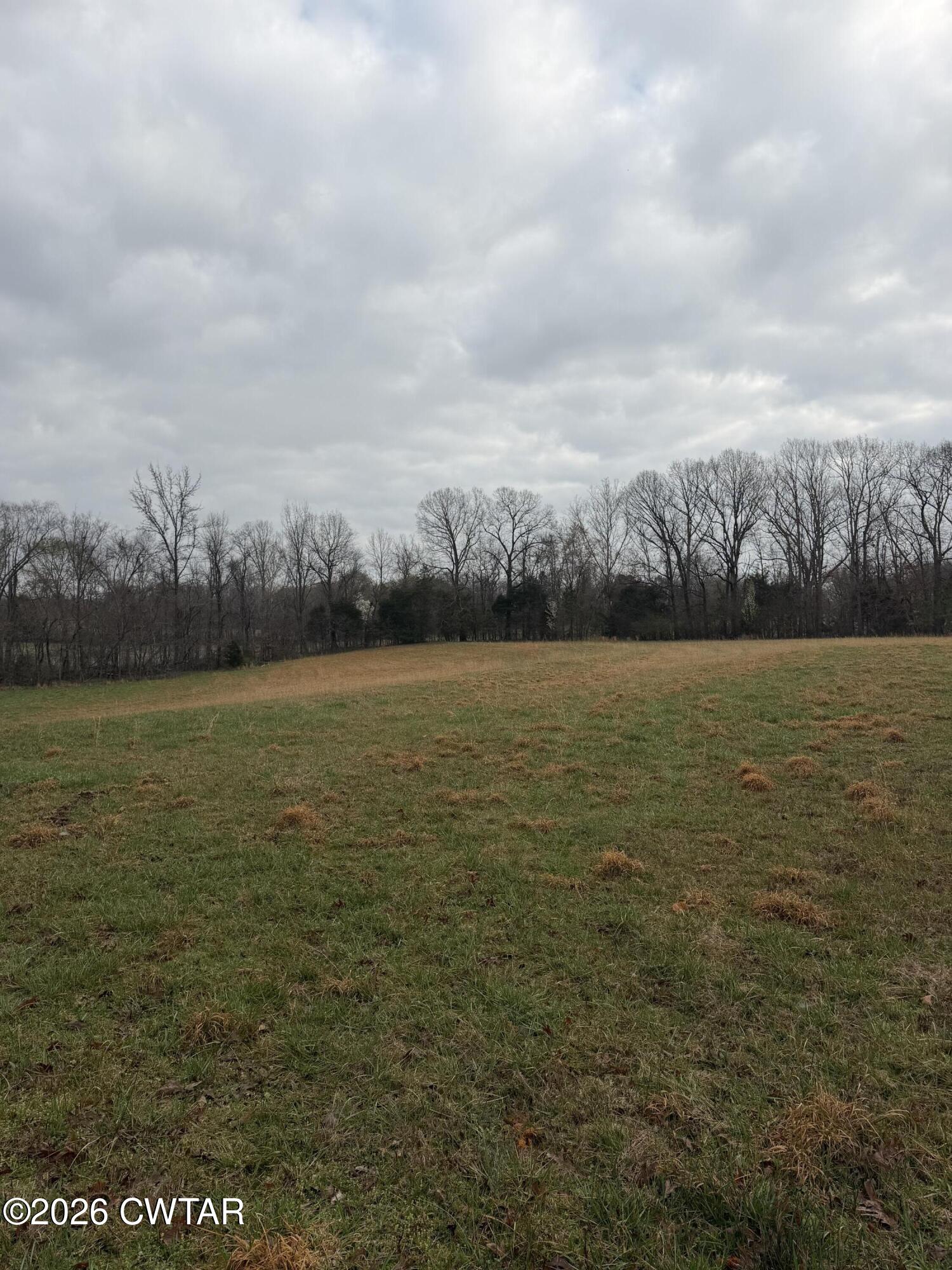 223 Bogle Loop Milan, TN 38358 - Photo 13 of 18 IMG_0586