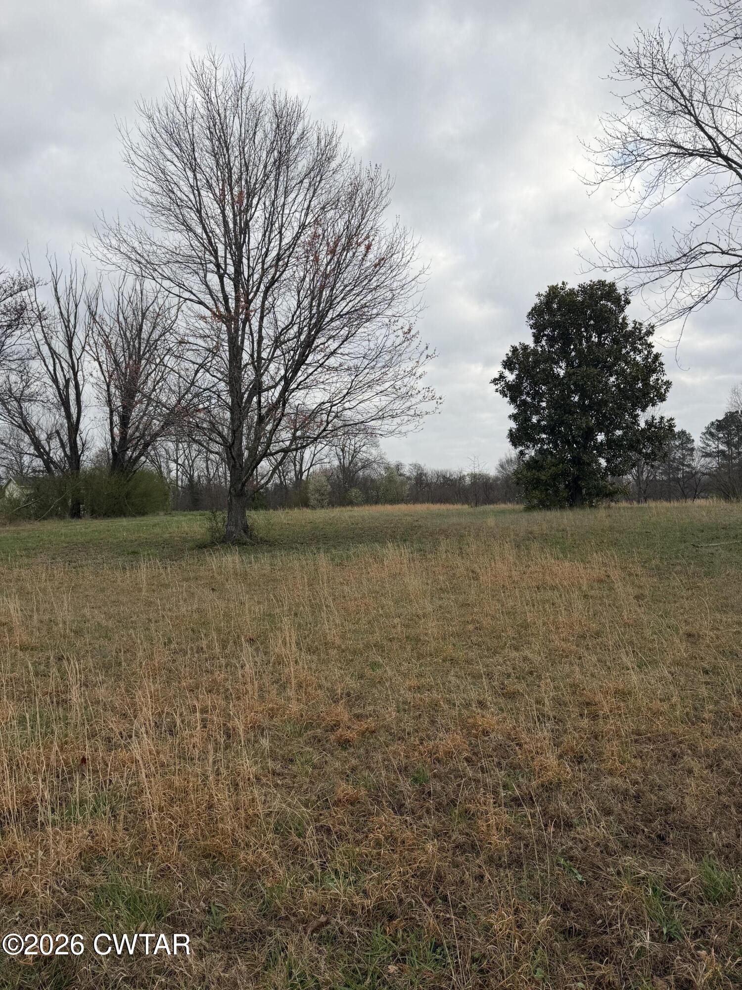 223 Bogle Loop Milan, TN 38358 - Photo 15 of 18 IMG_0598