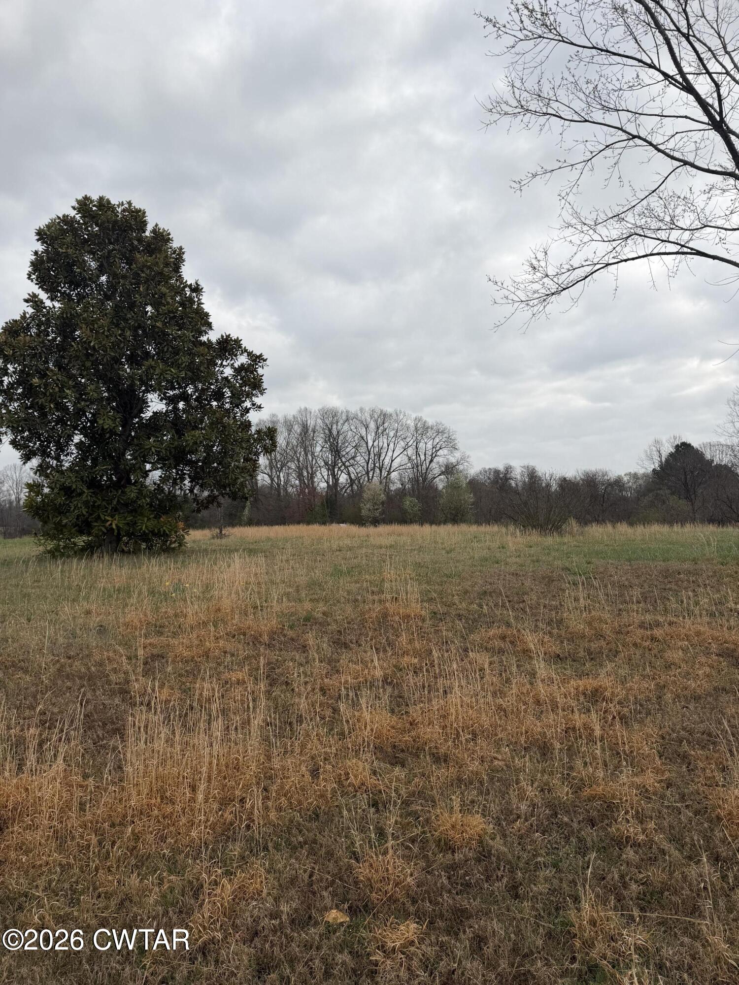 223 Bogle Loop Milan, TN 38358 - Photo 16 of 18 IMG_0600