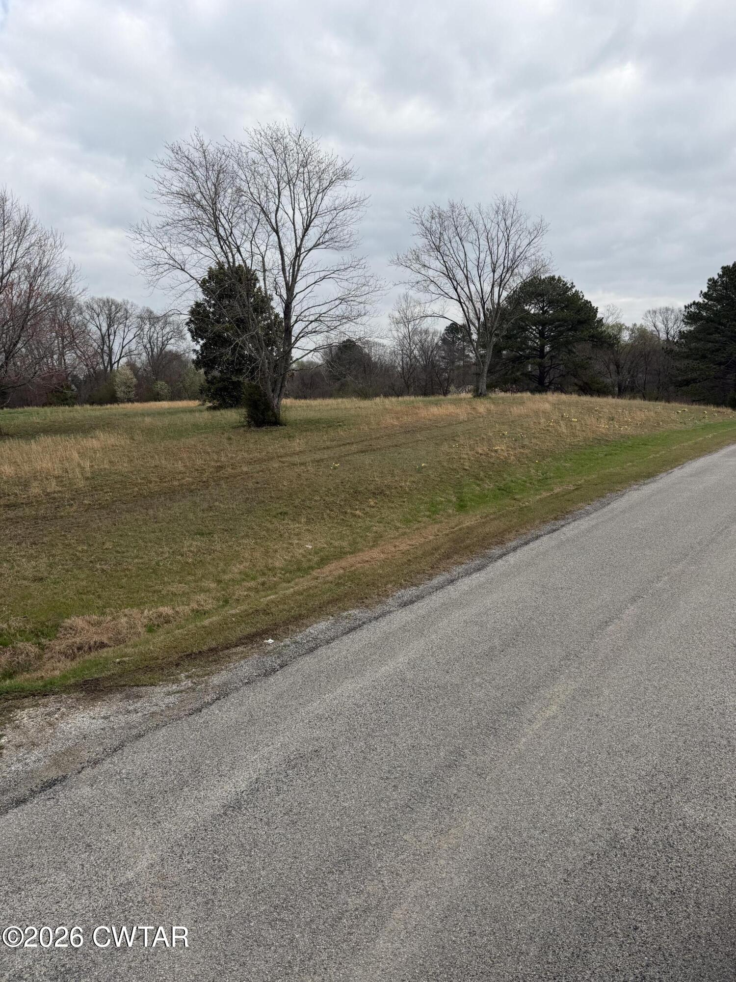 223 Bogle Loop Milan, TN 38358 - Photo 17 of 18 IMG_0604