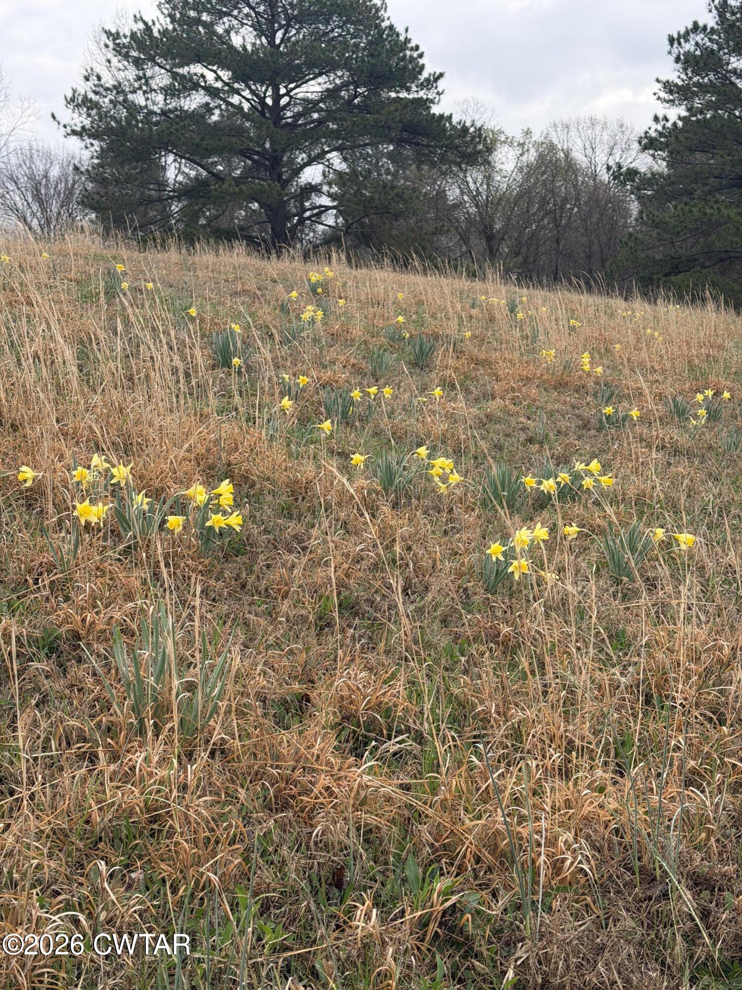 223 Bogle Loop Milan, TN 38358 - Photo 7 of 18 IMG_0572