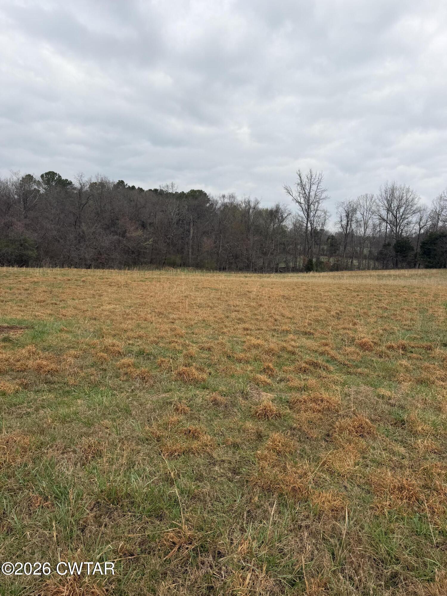 223 Bogle Loop Milan, TN 38358 - Photo 10 of 18 IMG_0579