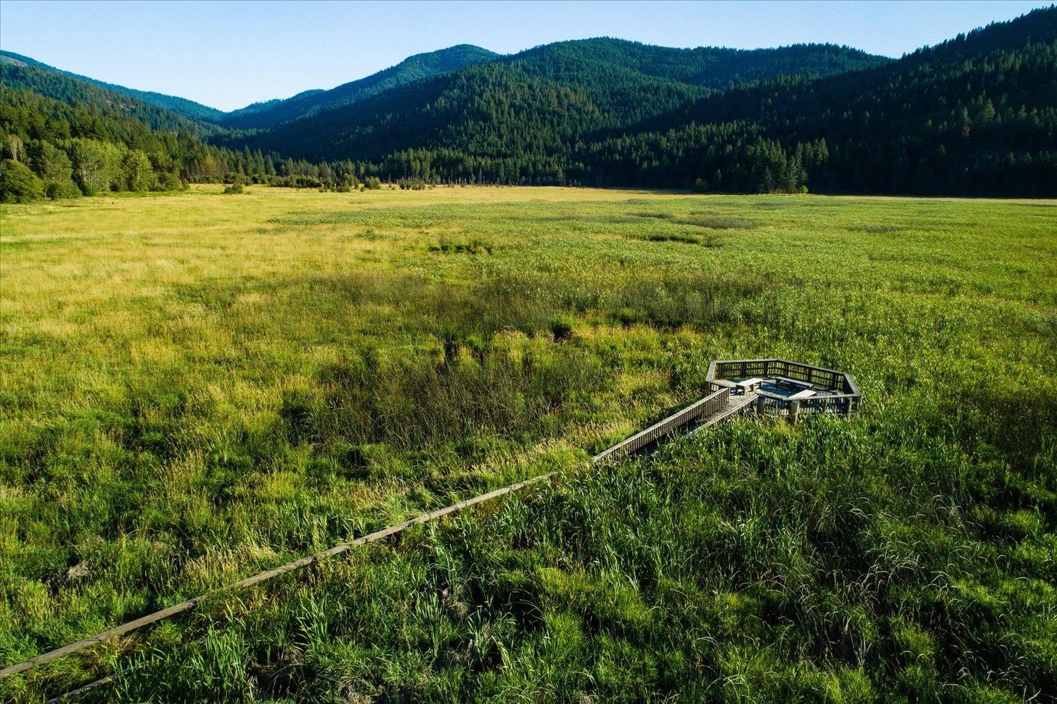 24221 Desmet Road Liberty Lake, WA 99019 - Photo 50 of 50 Gallery Image 50