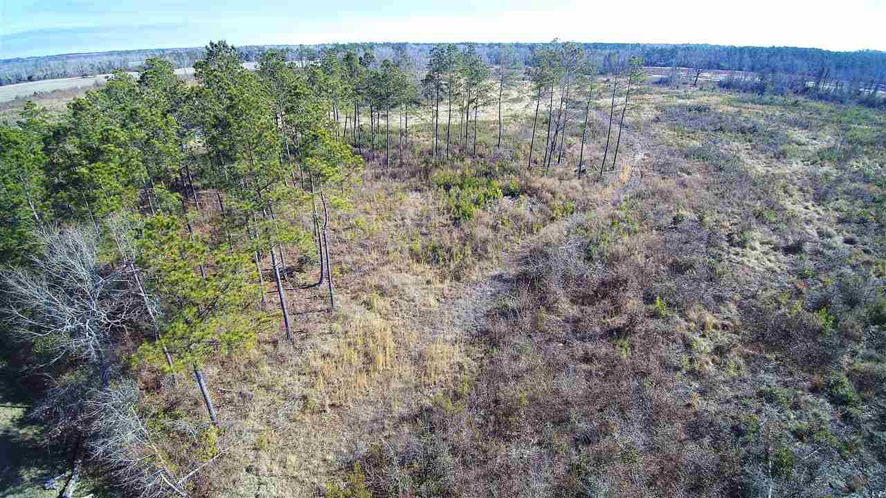 234 Jasmine Road Loris, SC 29569 - Photo 1 of 7 Gallery Image 1