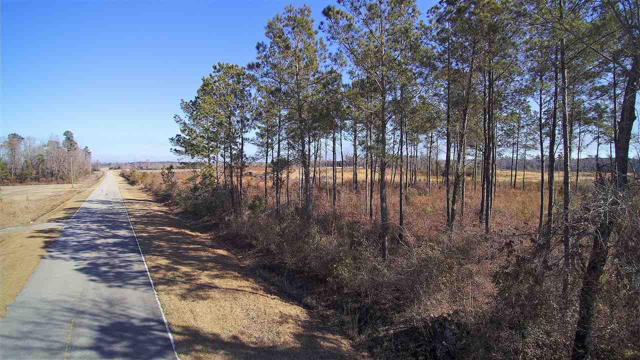 234 Jasmine Road Loris, SC 29569 - Photo 4 of 7 Gallery Image 4