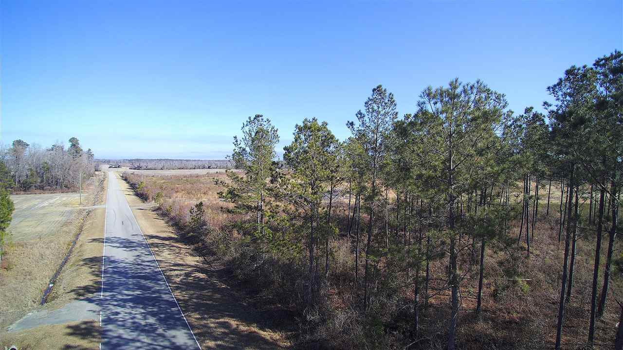 234 Jasmine Road Loris, SC 29569 - Photo 6 of 7 Gallery Image 6