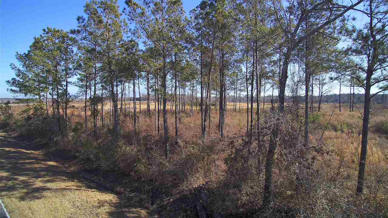 234 Jasmine Road Loris, SC 29569 - Photo 7 of 7 Gallery Image 7