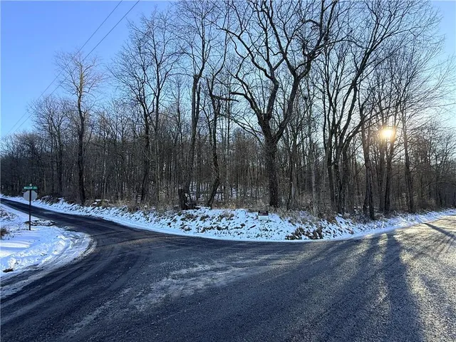 a view of a yard with trees