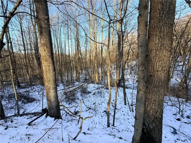 $207,000 | 0 Willow Road, Shelocta, PA 15774