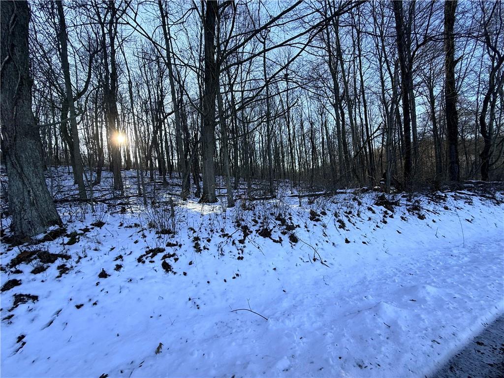 0 Willow Road Shelocta, PA 15774 - Photo 2 of 11