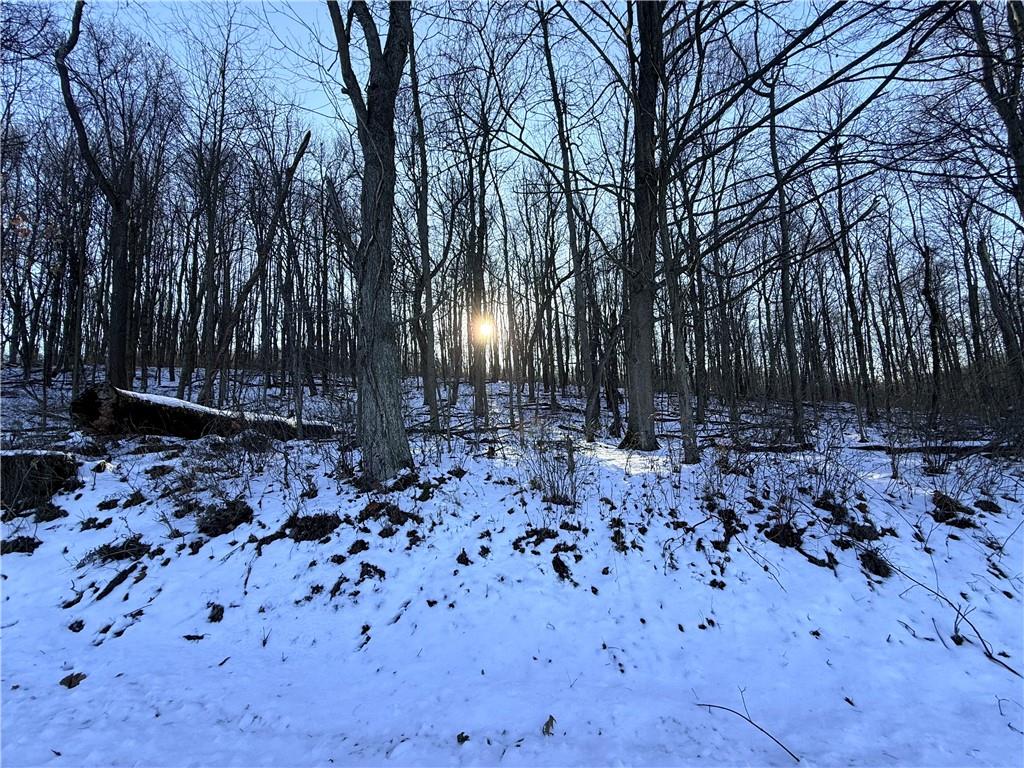 0 Willow Road Shelocta, PA 15774 - Photo 4 of 11 a view of yard with tree in front