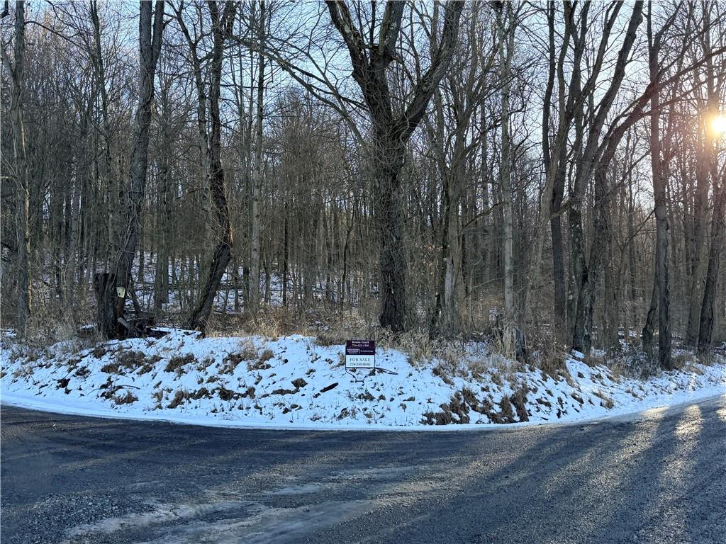 0 Willow Road Shelocta, PA 15774 - Photo 5 of 11 a view of sink and yard
