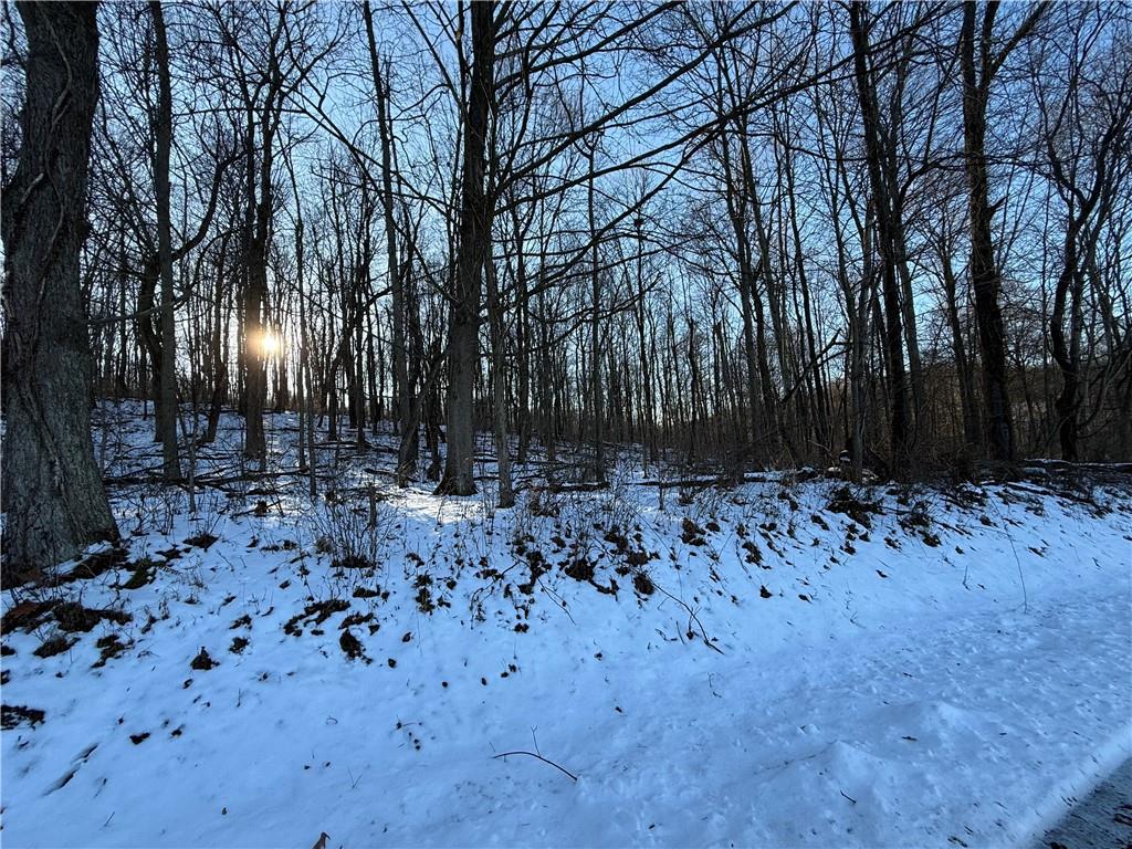 0 Willow Road Shelocta, PA 15774 - Photo 6 of 11 a view of yard