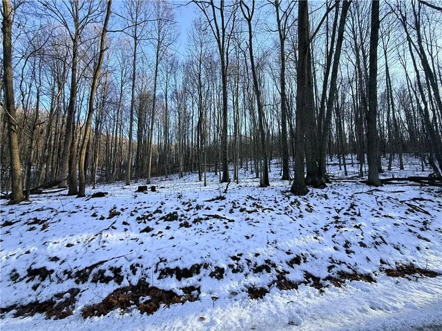 a view of a backyard of the house