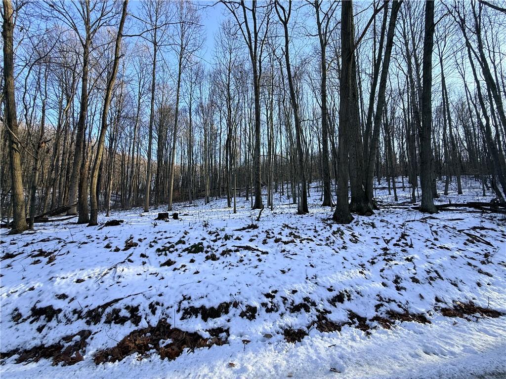 0 Willow Road Shelocta, PA 15774 - Photo 7 of 11 a view of a backyard with large trees