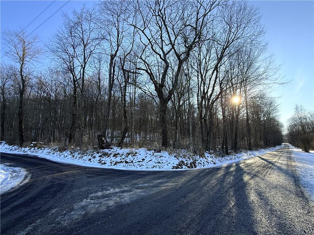 0 Willow Road Shelocta, PA 15774 - Photo 8 of 11 a view of a backyard of the house