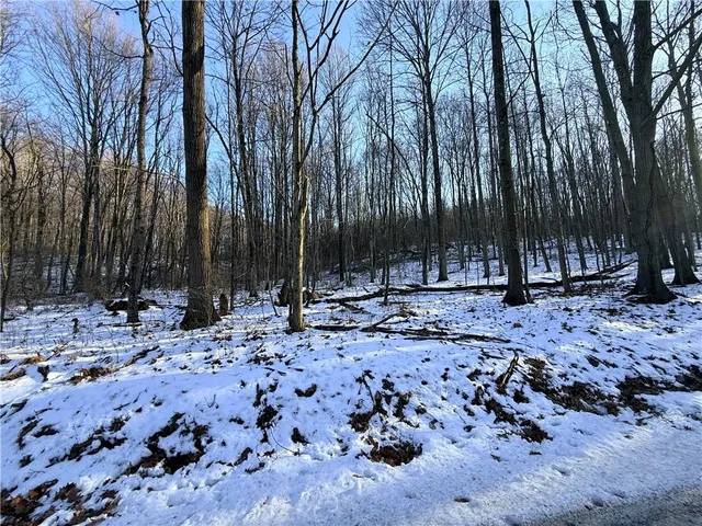 a view of outdoor space with lots of trees