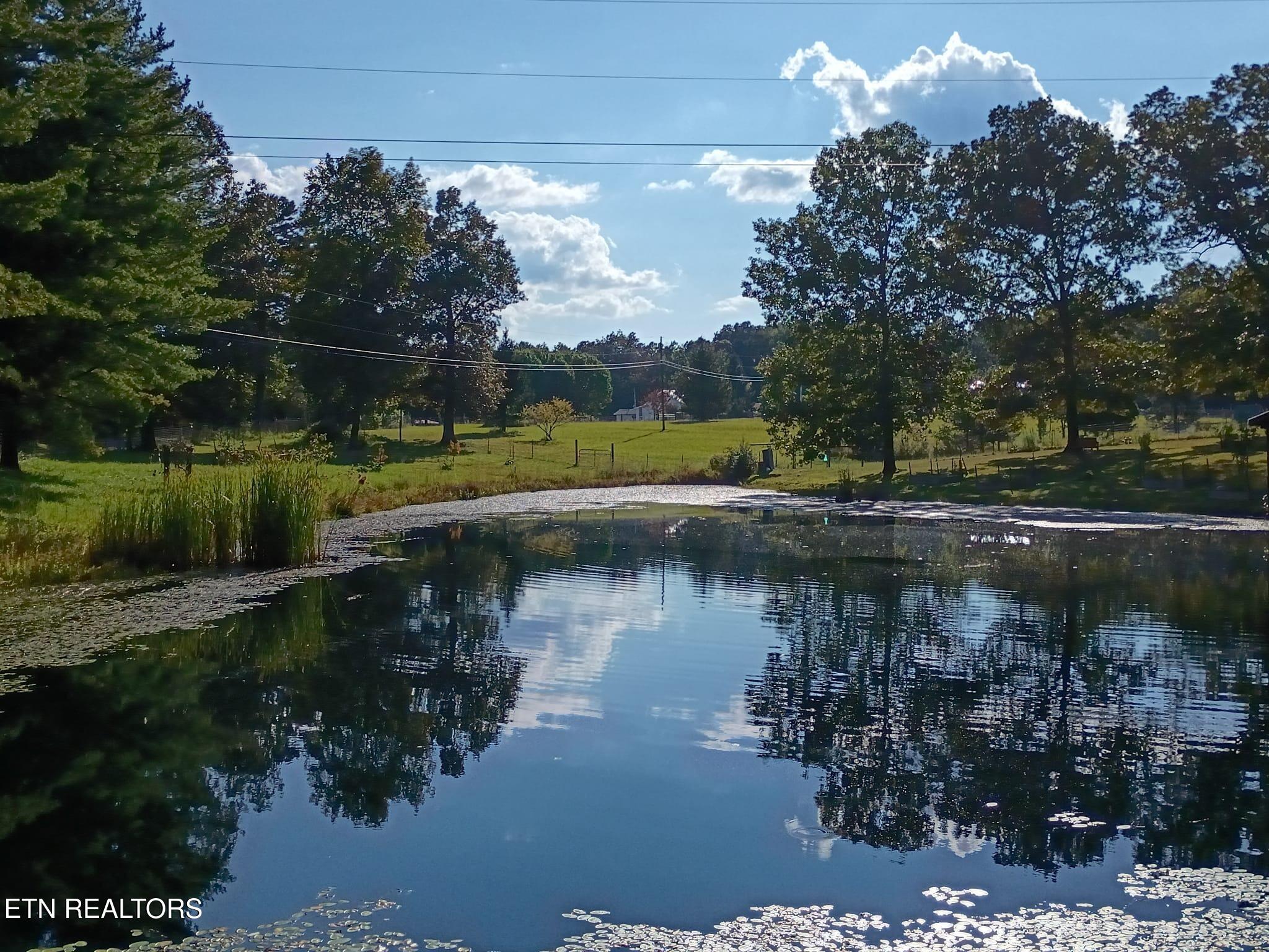 122 Frankfort Road Lancing, TN 37770 - Photo 48 of 60 Pond west
