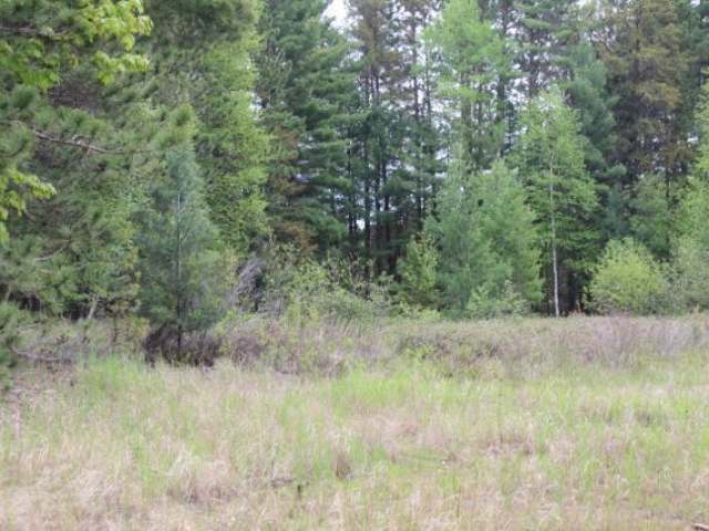 Near Loon Lake Road Eagle River, WI 54521 - Photo 5 of 13 Gallery Image 5
