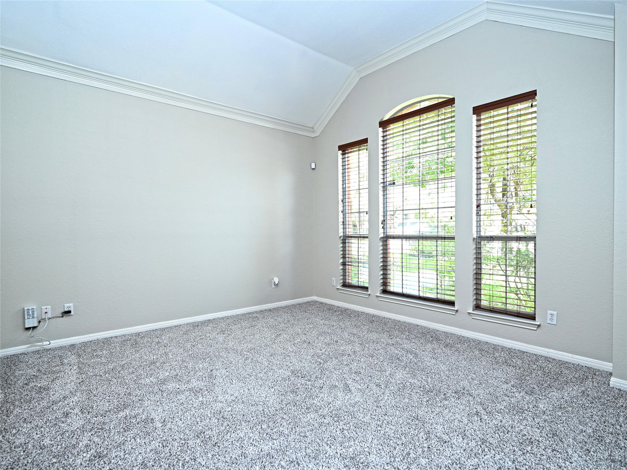 11017 Rio Vista Drive Austin, TX 78726 - Photo 8 of 38 Spacious room featuring vaulted ceilings, crown molding, a large arched window, two additional large windows with blinds, and gray speckled carpeting