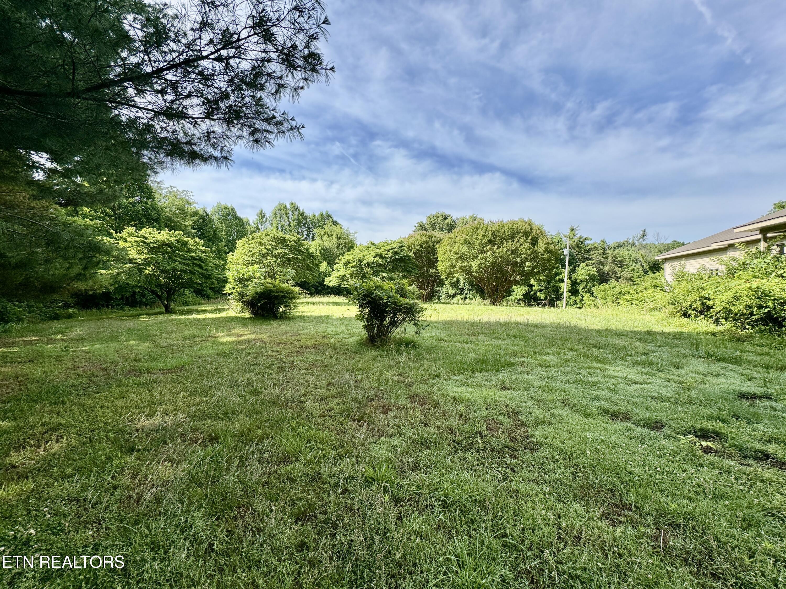 529 Peanut Road Parrottsville, TN 37843 - Photo 18 of 54 1-18