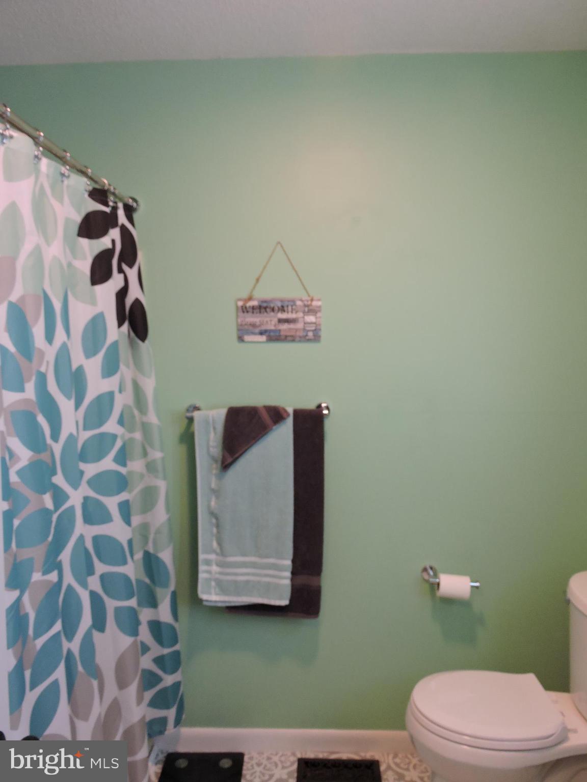 30680 River Road Laurel, DE 19956 - Photo 14 of 39 Hall Bathroom tub/shower.