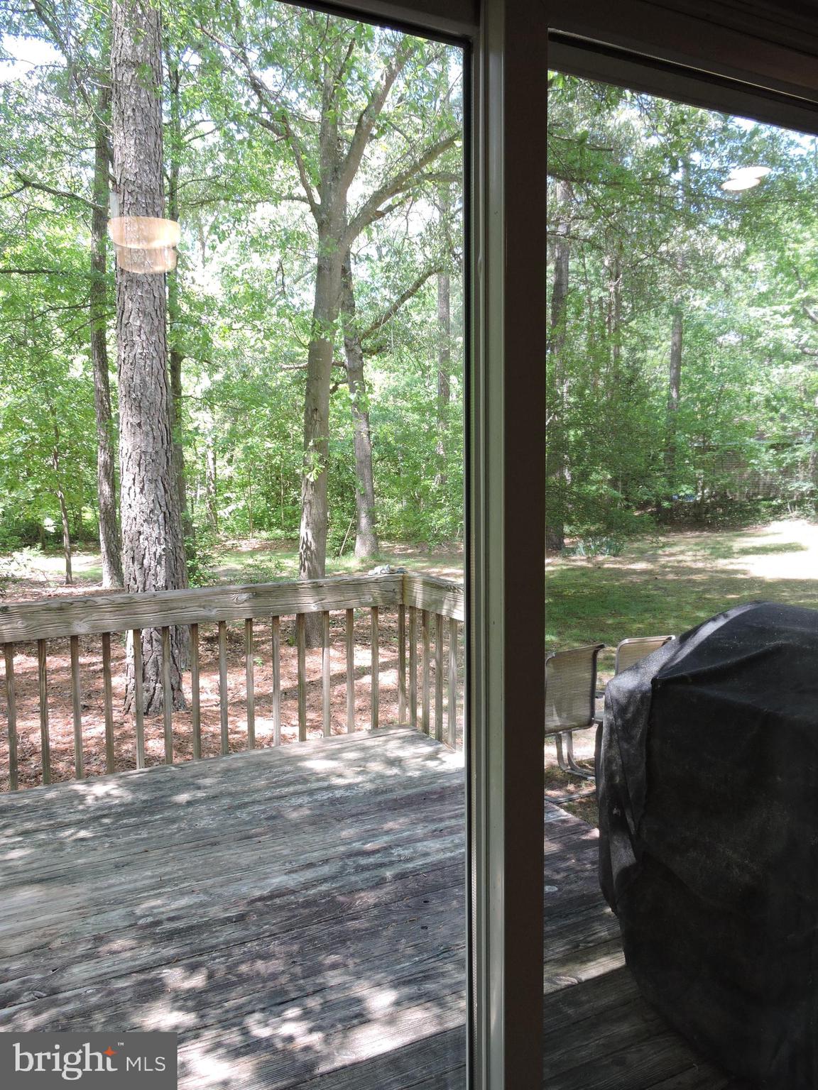 30680 River Road Laurel, DE 19956 - Photo 32 of 39 View out sliders in dining area.