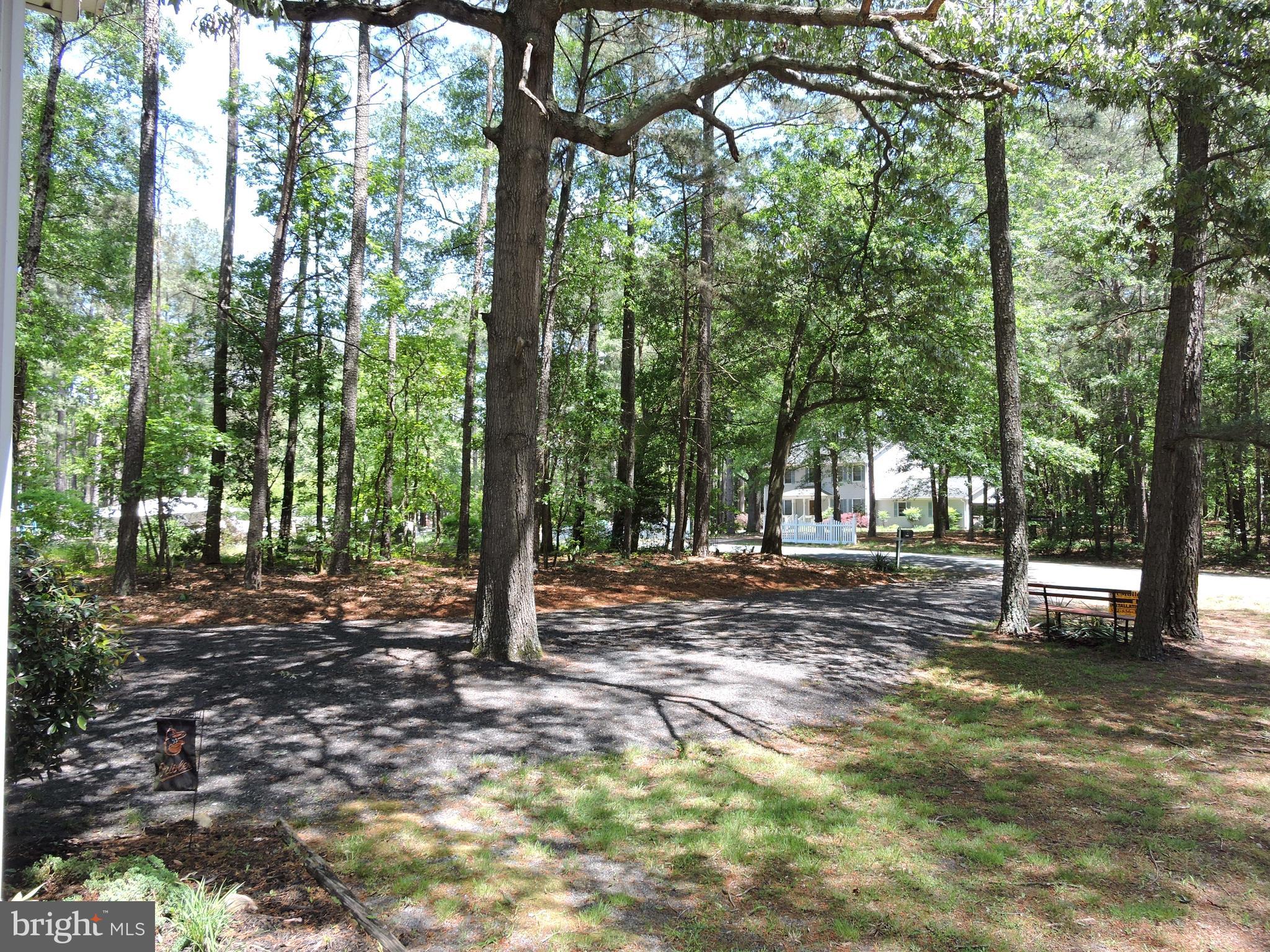 30680 River Road Laurel, DE 19956 - Photo 36 of 39 View from front entry.