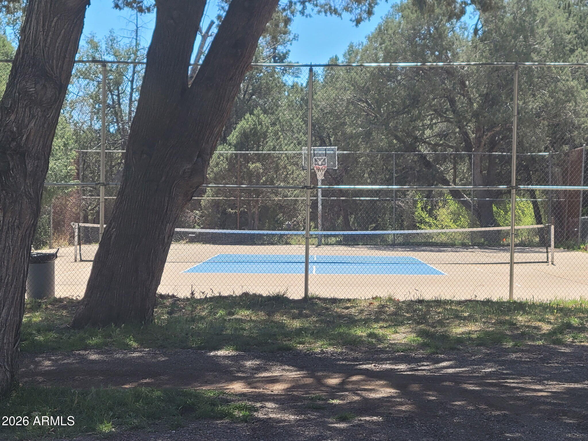 560 Javelina Road Payson, AZ 85541 - Photo 48 of 50 IMG_20260324_202410 (2)