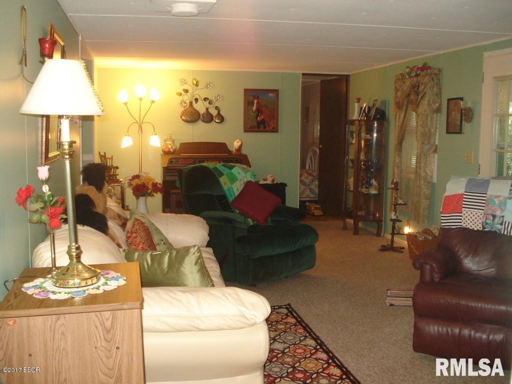 375 Locust Road Ozark, IL 62972 - Photo 2 of 41