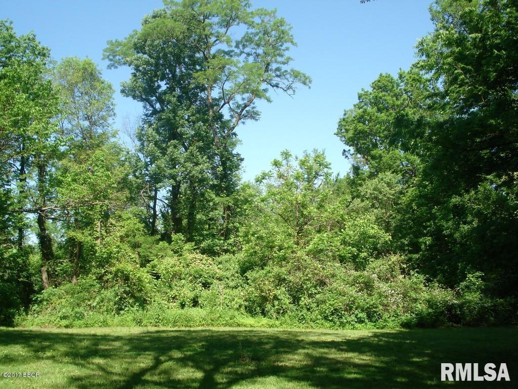 375 Locust Road Ozark, IL 62972 - Photo 30 of 41