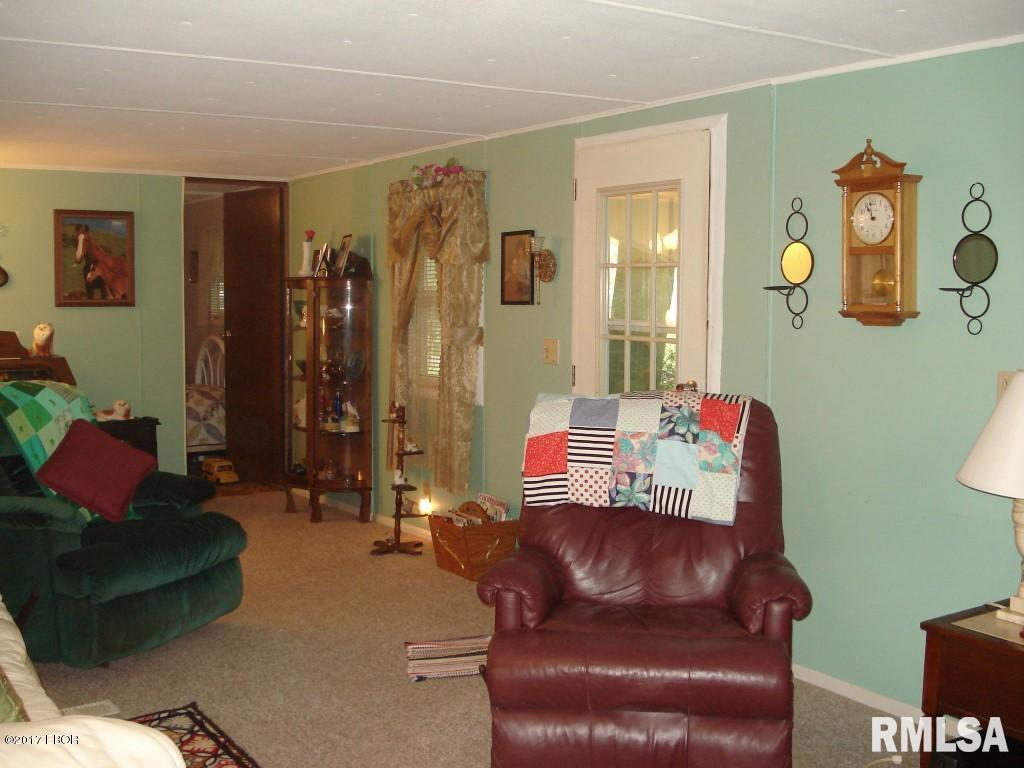 375 Locust Road Ozark, IL 62972 - Photo 3 of 41