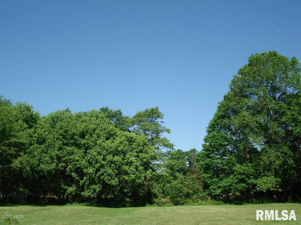 375 Locust Road Ozark, IL 62972 - Photo 33 of 41