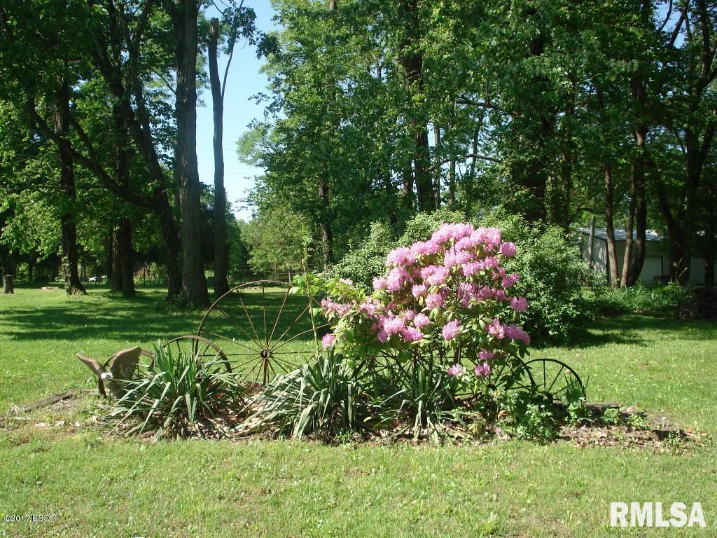 375 Locust Road Ozark, IL 62972 - Photo 37 of 41